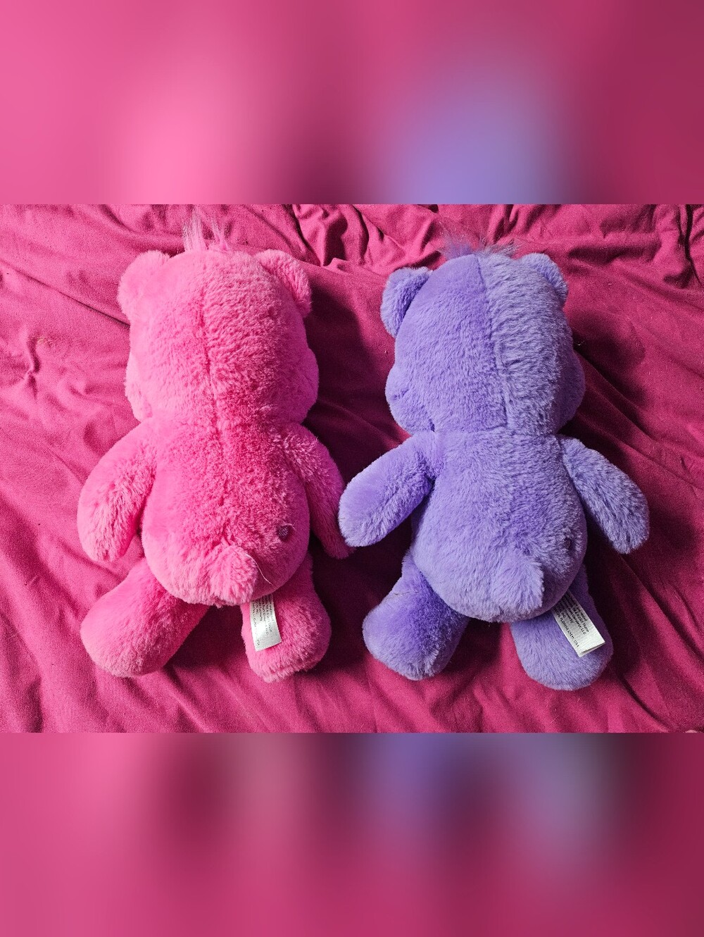 Rare BJ Excusive (USA) Secret Bear & Best Friend Bear - Picture 2 of 2